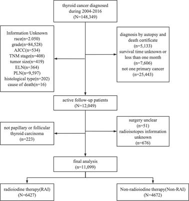 Development and validation of nomograms for predicting survival in differentiated thyroid cancer patients with or without radioiodine therapy